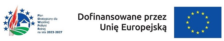 Epi logo